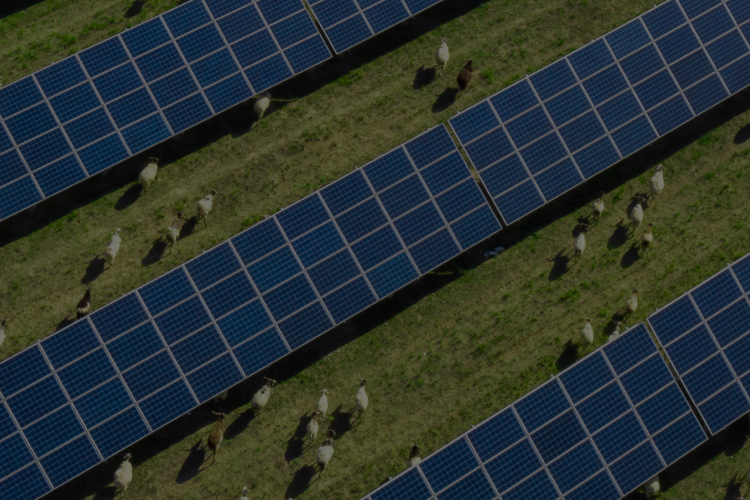 Micro Grid Solutions